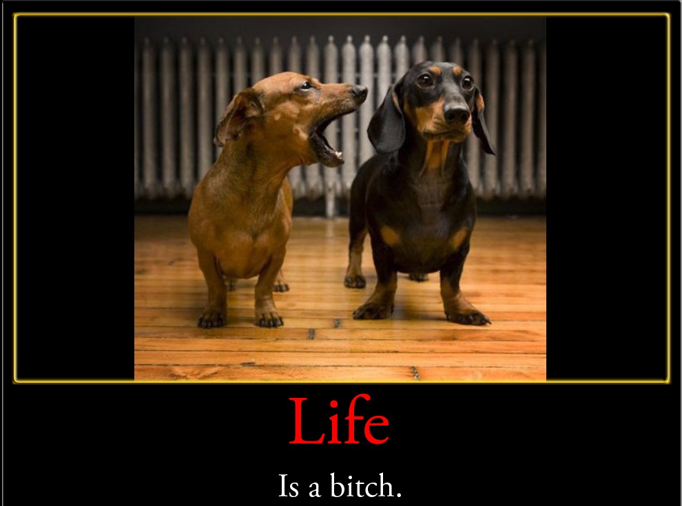 Unmotivational poster, Life is a bitch