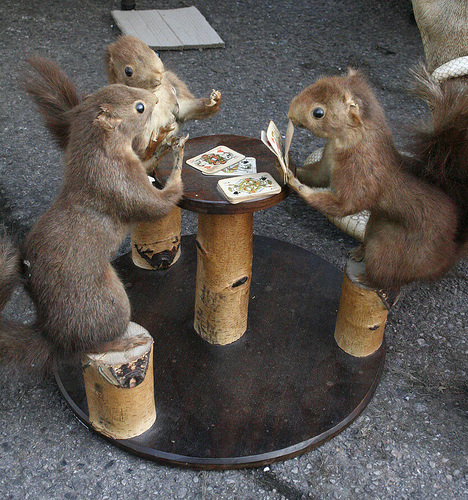 Squirrels Play Poker, Not Dogs!