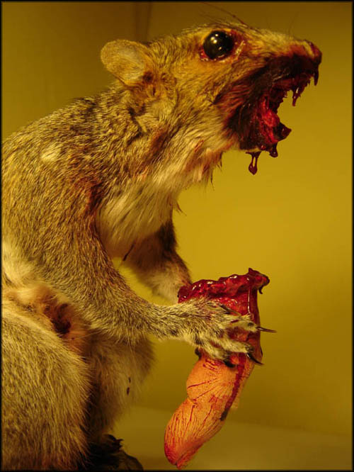 Zombie Squirrels? We Are All Screwed!!!