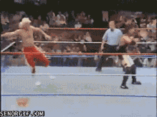 Wide World of Sporty Gifs