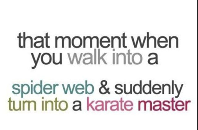 funny quotes one liners - that moment when you walk into a spider web & suddenly turn into a karate master