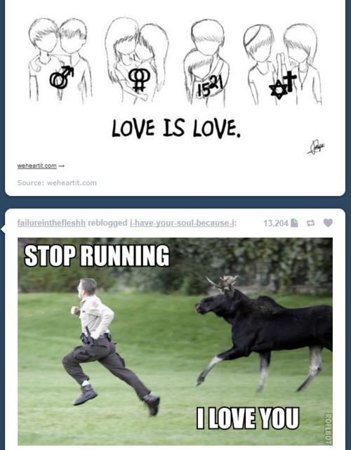 tumblr - stop running i love you - Love Is Love. Source weheartit.com failureinthefleshh reblogged lhaveyoursoulbecause 13,204 Stop Running I Love You Roflbot