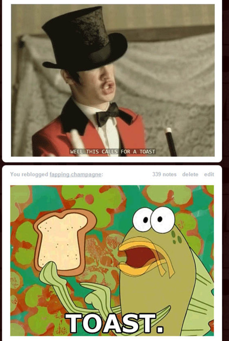 tumblr - funny panic at the disco memes - Well This Calls For A Toast You reblogged fappingchampagne 339 notes delete edit | Toast.