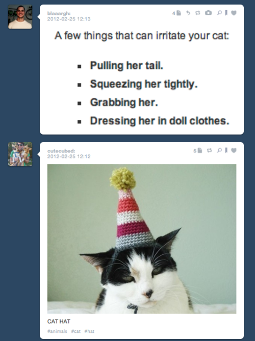 tumblr - cat with a party hat - blaaargh 4 Soi A few things that can irritate your cat Pulling her tail. Squeezing her tightly. Grabbing her. Dressing her in doll clothes. cutecubed 5 Li Cat Hat