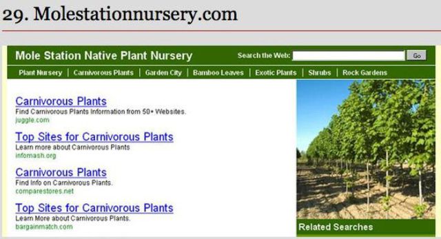 Unintentionally Inappropriate Website Names