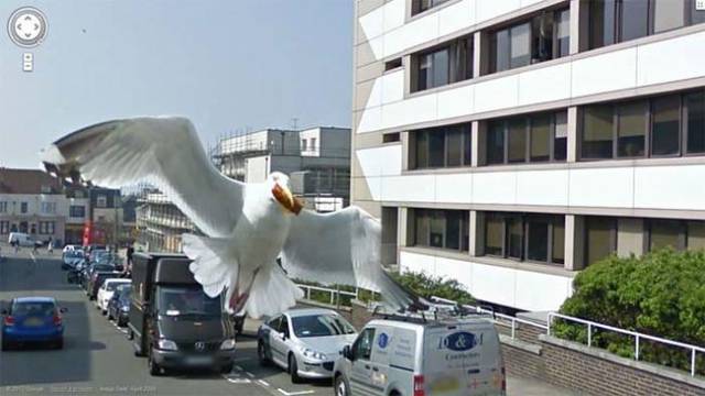 Best Moments Caught On Google Earth