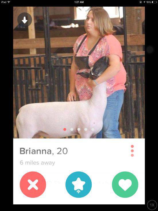 Tinder Profiles Proving The World Is Screwed