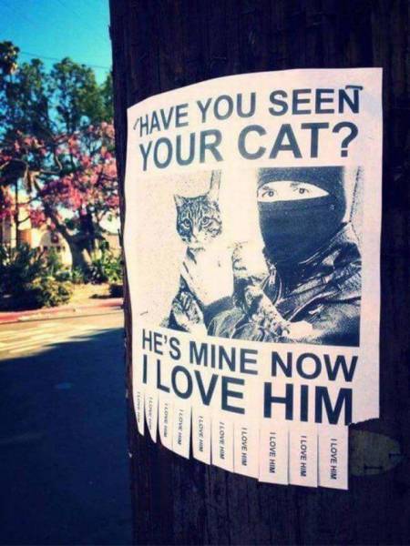 have you seen your cat he's mine now - Have You Seen Your Cat? He'S Mine Now I Love Him Love Love Him I Love Him I Love Him I Love Him