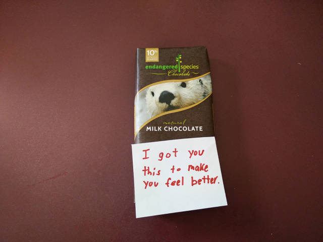 tener un detalle - 10 endangered species Charles A Milk Chocolate I got you this to make you feel better