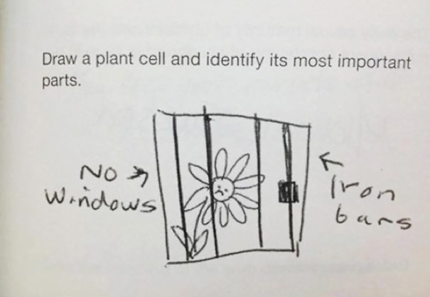 Kids Being Smartasses On Homework Assignments