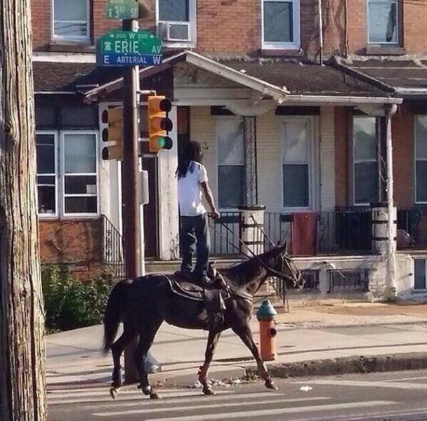 man standing on horse meme - W 100 Erie Av E Arterial W