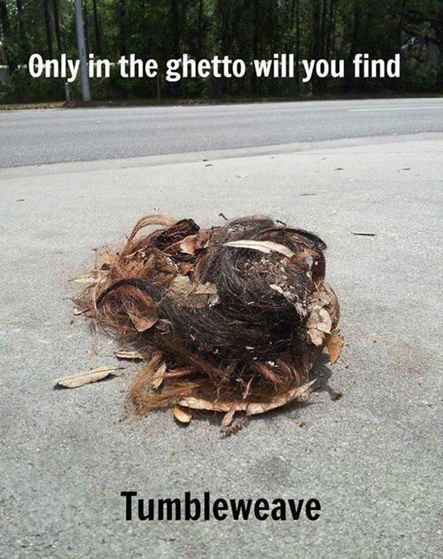 ghetto meme - Only in the ghetto will you find Tumbleweave