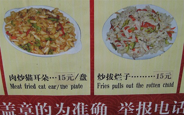 google translate chinese fail - 15 Meat fried cat earthe plate 15 Fries pulls out the rotten child