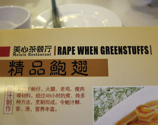 chinese translation fails