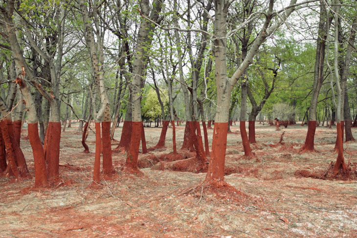The red hue of aluminum byproducts makes the landscape look insane. This is the aftermath of a 2010 toxic waste spill in Western Hungary.