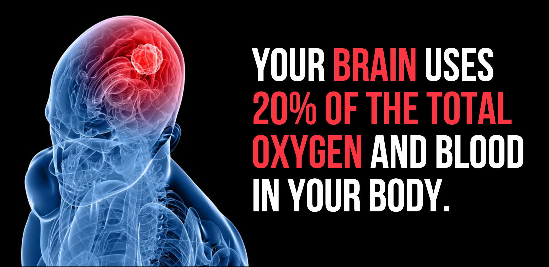 Кислород через мозг. Brain and Oxygen. Interesting facts about Human.