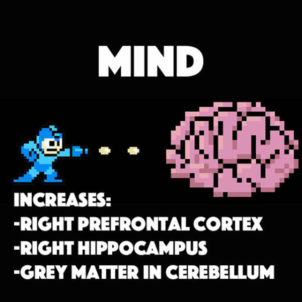 organ - Mind T Increases Right Prefrontal Cortex Right Hippocampus Grey Matter In Cerebellum