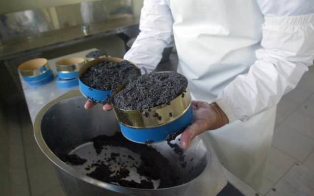 Iranian beluga caviar: $30 per gram
The eggs from this rare sturgeon generally cost about $30 per gram and have been dubbed by the Guinness World Records as the most expensive food in the world.