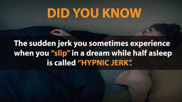 Crazy Facts You've Never Thought Could Be True