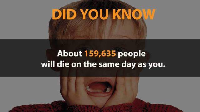 Crazy Facts You've Never Thought Could Be True