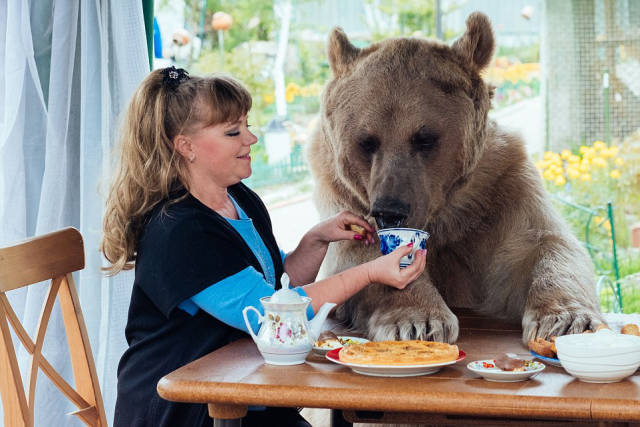 This big "softie" has been living with a Russian family for over 23 years now.