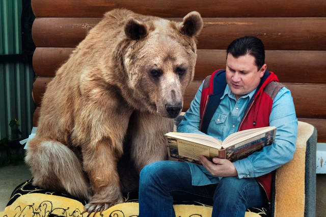 Svetlana and Yuriy Panteleenko adopted Stepan the bear when he was only 3 months old.