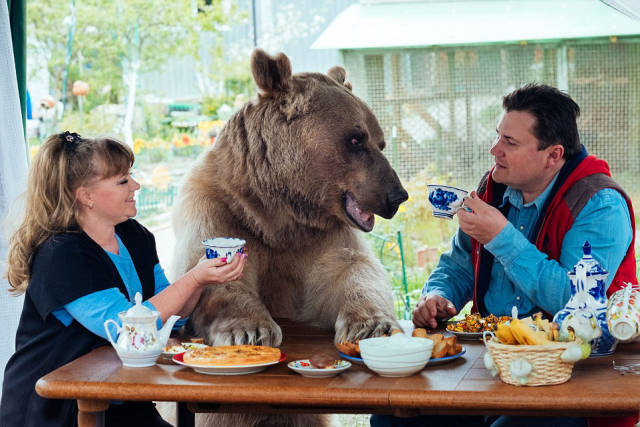 They share meals together at the table and he likes to watch TV with them while cuddling on the couch.