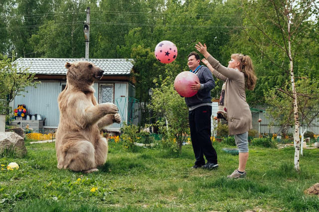 He eats an impressive 55 pounds of fish, vegetables and eggs a day but plays football to work off the gut-busting amount of food he's served daily.