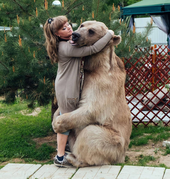 Russian Family Lives With A Giant Bear