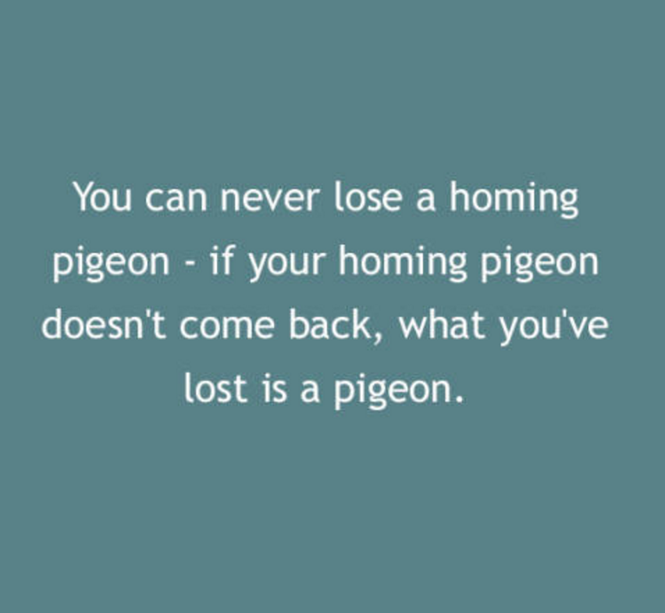clevedon school - You can never lose a homing pigeon if your homing pigeon doesn't come back, what you've lost is a pigeon.