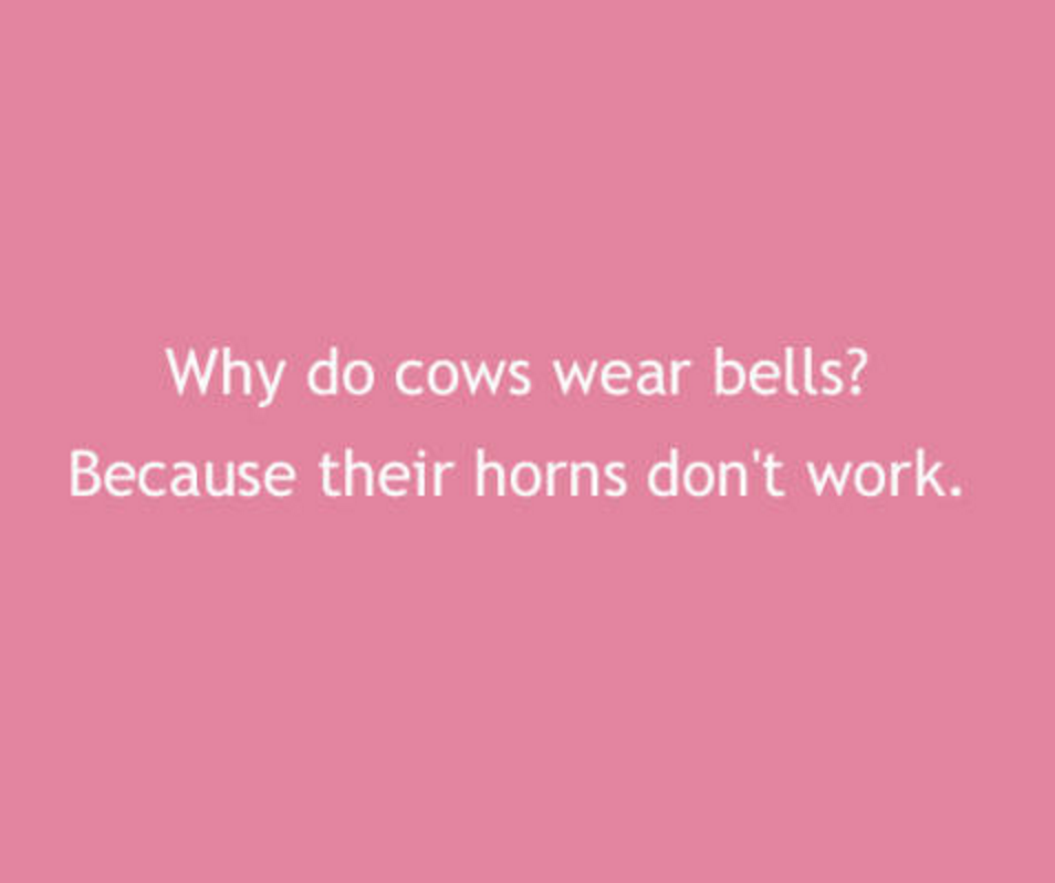 petal - Why do cows wear bells? Because their horns don't work.