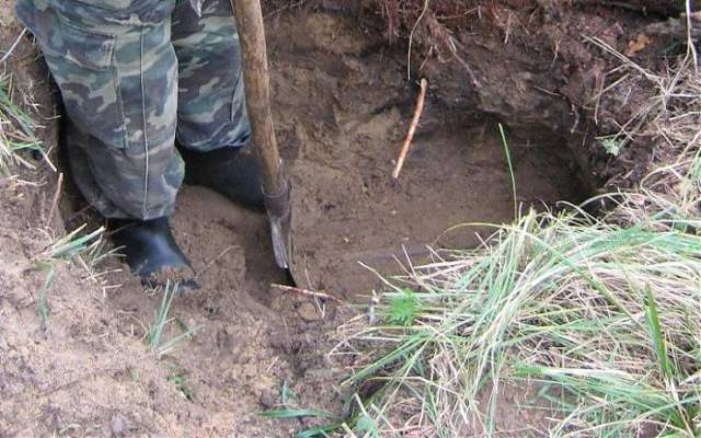 Volunteers Discovered Some WWII Memorabilia Hidden On A Russian Battlefield