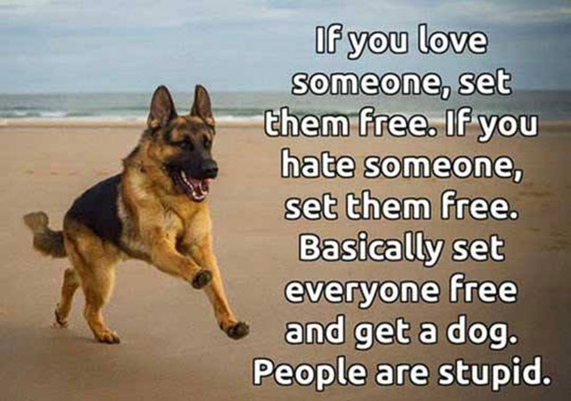 if you love someone set them free get a dog - If you love someone, set them free. If you hate someone, set them free. Basically set everyone free and get a dog. People are stupid.
