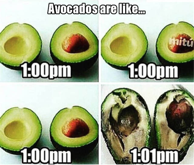 avocados be like - Avocados are ... whitu pm pm pm