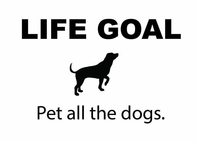 dog - Life Goal Pet all the dogs.