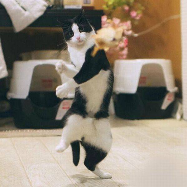 It's Friday! Time To Celebrate!