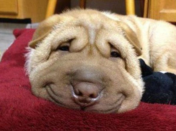 It's Friday! Time To Celebrate!