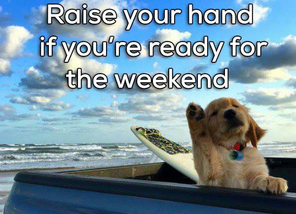 It's Friday! Time To Celebrate!