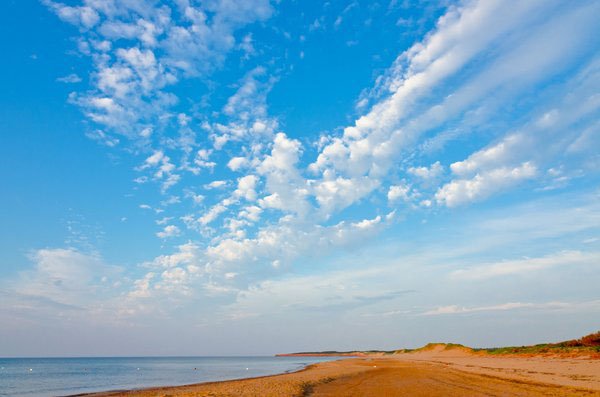 It's Friday! Time To Celebrate!