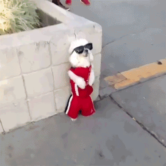 It's Friday! Time To Celebrate!