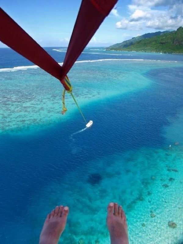 It's Friday! Time To Celebrate!