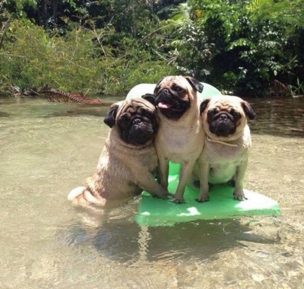 It's Friday! Time To Celebrate!