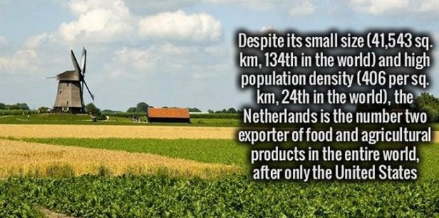 field - Despite its small size 41,543 sq. km, 134th in the world and high population density 406 per sq. km, 24th in the world, the Netherlands is the number two exporter of food and agricultural products in the entire world, after only the United States