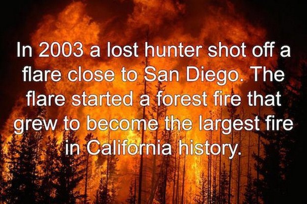 heat - In 2003 a lost hunter shot off a flare close to San Diego. The flare started a forest fire that grew to become the largest fire in California history. I