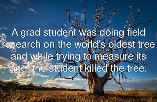 golden rules - A grad student was doing field research on the world's oldest tree and while trying to measure its age, the student killed the tree.