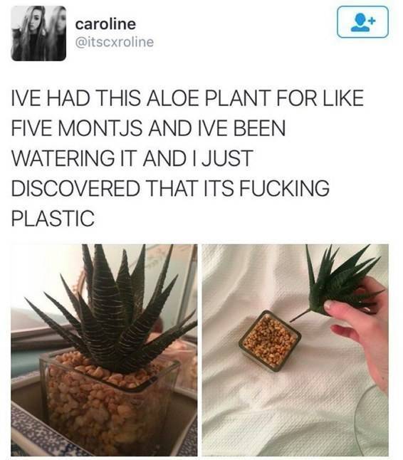 You haven’t spent five months watering a plastic plant, so you’re doing OK.