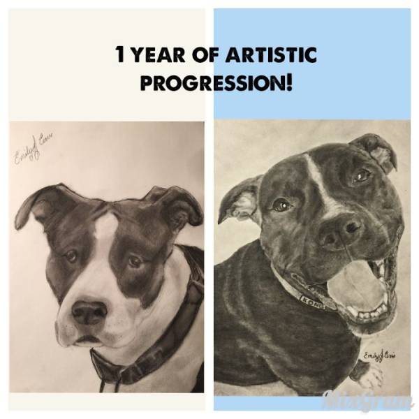 Artists' Progression Over The Years