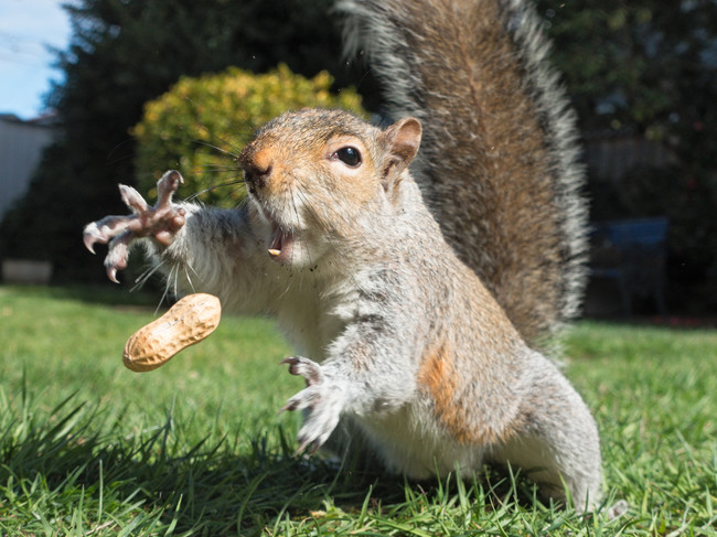 Perfectly Timed Photos To Perfect Your Day