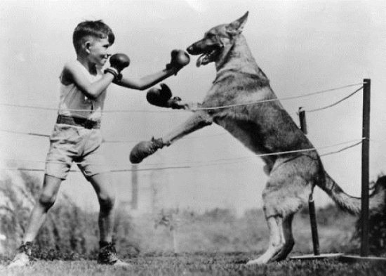 Epic Vintage Animal Pictures