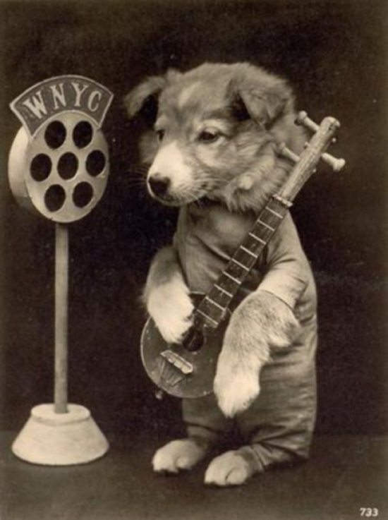 Epic Vintage Animal Pictures